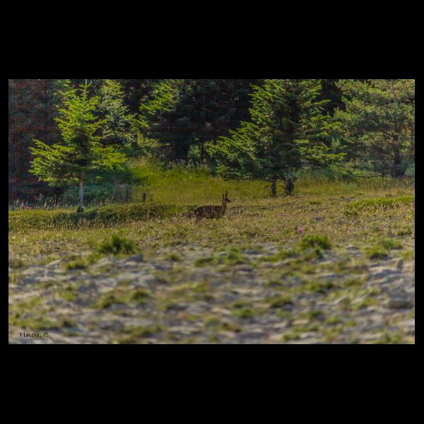 PHOTO84, CLUB, 84 , LUBERON